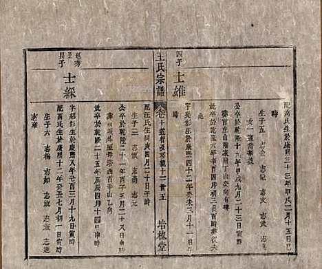 [下载][王氏宗谱]安徽王氏__清同治5年1866_十.pdf