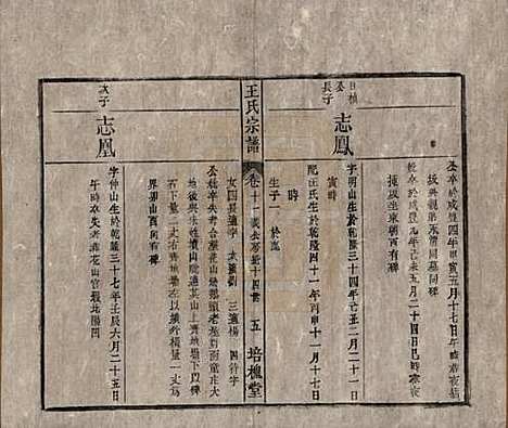 [下载][王氏宗谱]安徽王氏__清同治5年1866_十一.pdf