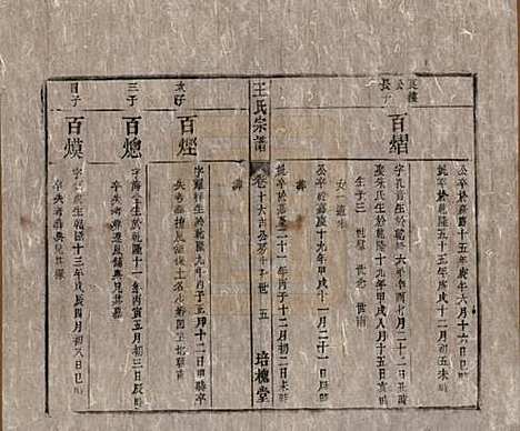 [下载][王氏宗谱]安徽王氏__清同治5年1866_十六.pdf