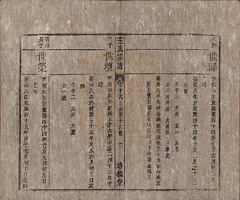 [下载][王氏宗谱]安徽王氏__清同治5年1866_十八.pdf