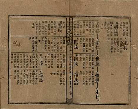 [下载][上车萧氏续修族谱]湖南萧氏__民国9年1920_十三.pdf