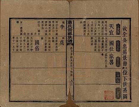 [下载][萧氏昺祖族谱]湖南萧氏__清光绪27年1901_二十五.pdf