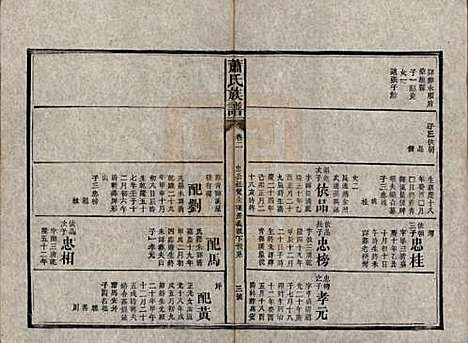 [下载][萧氏族谱]湖南萧氏__清宣统元年1909_三.pdf