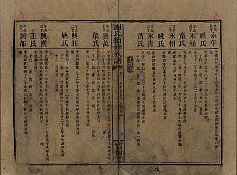 [下载][谢氏续修族谱]湖南谢氏__清宣统3年1911_十二.pdf