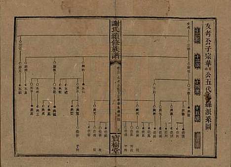 [下载][谢氏续修族谱]湖南谢氏__清宣统3年1911_十三.pdf