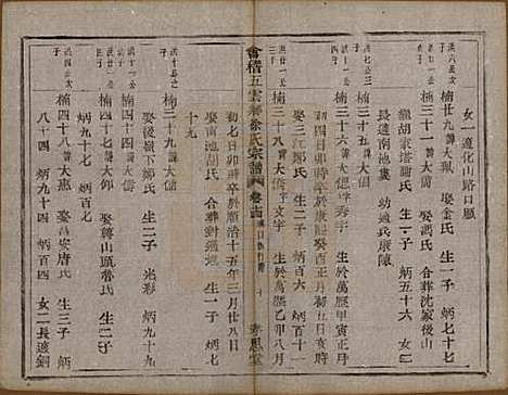 [下载][会稽五云乡徐氏宗谱]浙江徐氏(共二十卷)__民国六年（1917）_十四.pdf