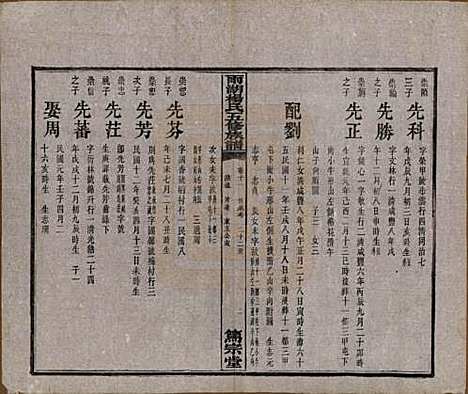 [下载][雨湖杨氏五修族谱]湖南杨氏(共二十卷)__民国二十年（1931）_十一.pdf