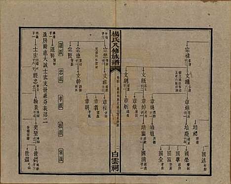 [下载][靳江杨氏八修族谱]湖南杨氏(共三十卷首一卷末一卷)__民国三十四年（1945）_四.pdf