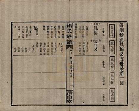 [下载][杨氏族谱]湖南杨氏__清光绪27年1901_七.pdf