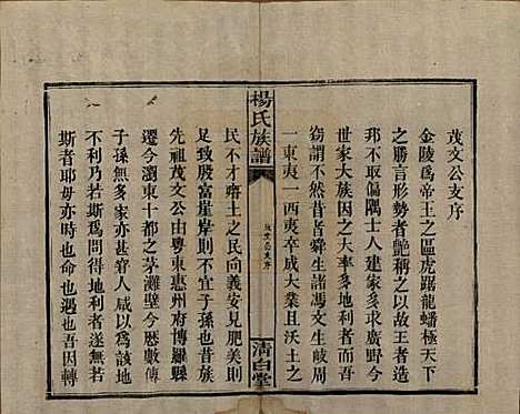 [下载][杨氏族谱]湖南杨氏__清光绪27年1901_十一.pdf