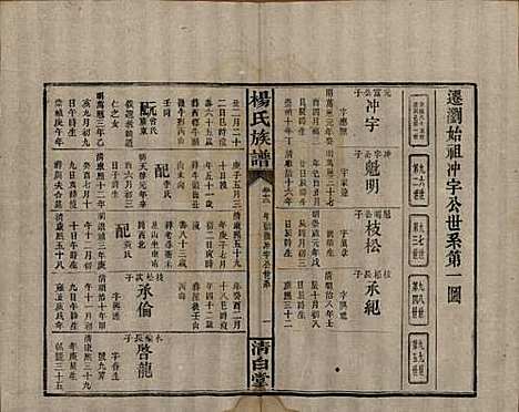 [下载][杨氏族谱]湖南杨氏__清光绪27年1901_十二.pdf