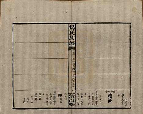 [下载][杨氏族谱]湖南杨氏__清光绪27年1901_十三.pdf