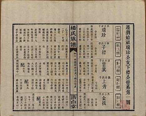 [下载][杨氏族谱]湖南杨氏__清光绪27年1901_十七.pdf