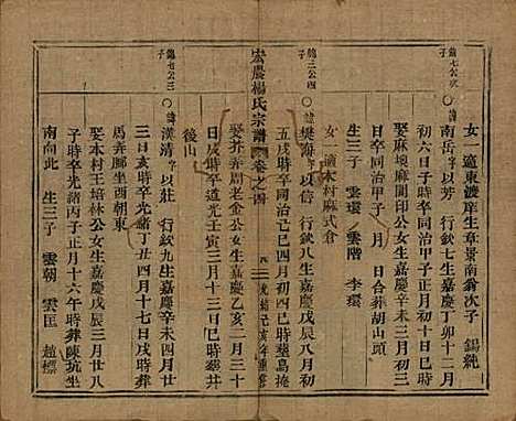 [下载][弘农杨氏宗谱]中国杨氏__清光绪二十五年（1899）_四.pdf