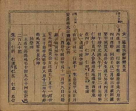 [下载][弘农杨氏宗谱]中国杨氏__清光绪二十五年（1899）_四.pdf