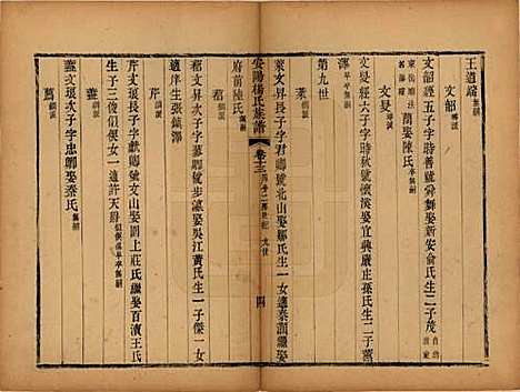 [下载][安阳杨氏族谱]江苏杨氏(共二十四卷)__清同治十二年(1873)_十三.pdf