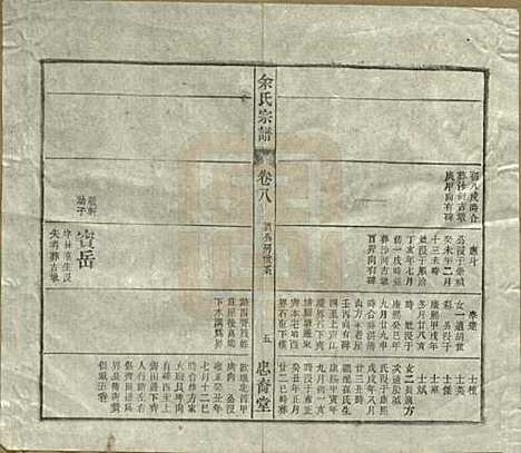 [下载][余氏宗谱]中国余氏(共十八卷)__清光绪二十七年（1901）_八.pdf