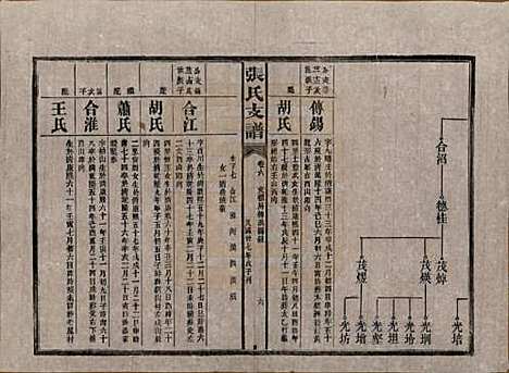 [下载][张氏庆云公房支谱]湖南张氏__民国三十八年(1949)_六.pdf