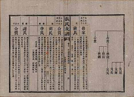 [下载][张氏庆云公房支谱]湖南张氏__民国三十八年(1949)_七.pdf