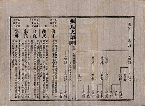 [下载][张氏庆云公房支谱]湖南张氏__民国三十八年(1949)_九.pdf