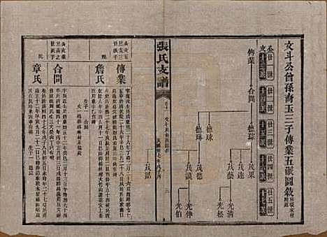 [下载][张氏庆云公房支谱]湖南张氏__民国三十八年(1949)_十一.pdf