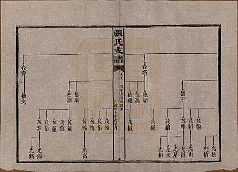 [下载][张氏庆云公房支谱]湖南张氏__民国三十八年(1949)_十一.pdf