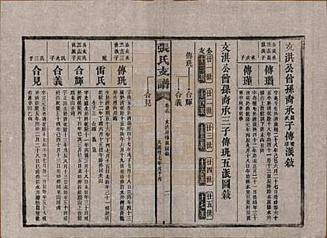 [下载][张氏庆云公房支谱]湖南张氏__民国三十八年(1949)_十四.pdf