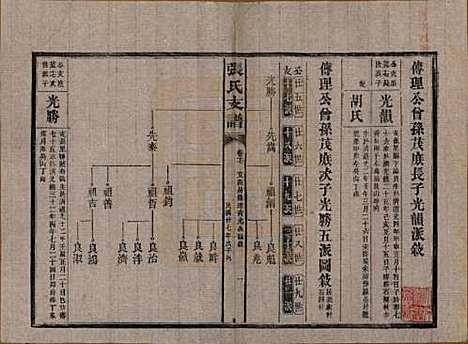 [下载][张氏庆云公房支谱]湖南张氏__民国三十八年(1949)_十七.pdf