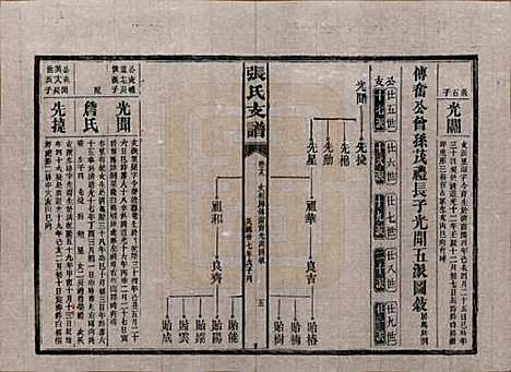 [下载][张氏庆云公房支谱]湖南张氏__民国三十八年(1949)_十九.pdf