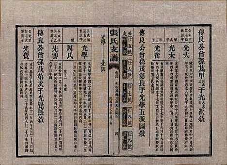 [下载][张氏庆云公房支谱]湖南张氏__民国三十八年(1949)_二十四.pdf