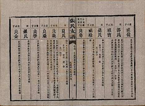 [下载][张氏庆云公房支谱]湖南张氏__民国三十八年(1949)_二十七.pdf