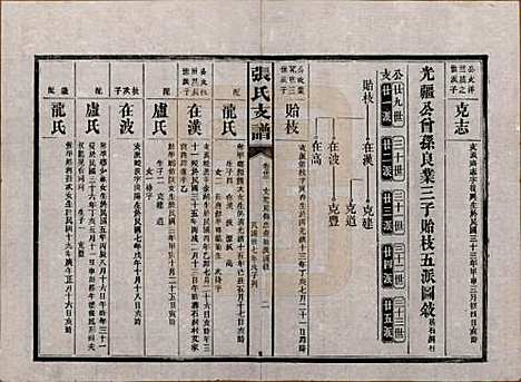 [下载][张氏庆云公房支谱]湖南张氏__民国三十八年(1949)_三十三.pdf