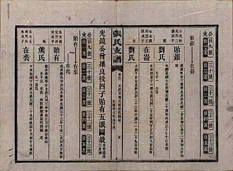 [下载][张氏庆云公房支谱]湖南张氏__民国三十八年(1949)_三十六.pdf