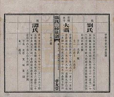 [下载][张氏三修族谱]湖南张氏__民国三十七年（1948）_二十五.pdf