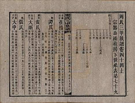 [下载][周氏三甲四修族谱]湖南周氏__民国19年1930_四十四.pdf