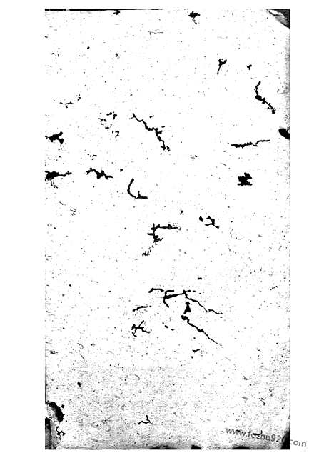 [下载][张氏支谱]_合卷.pdf