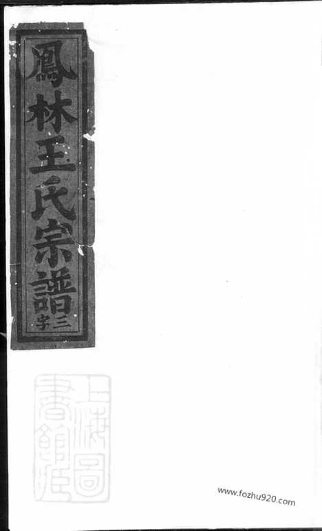 [下载][凤林王氏宗谱]义乌家谱_.pdf