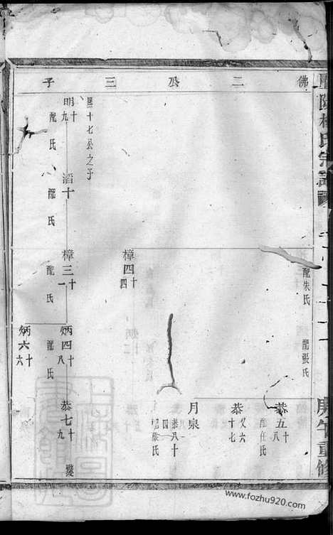 [下载][暨阳杨氏宗谱]_.pdf