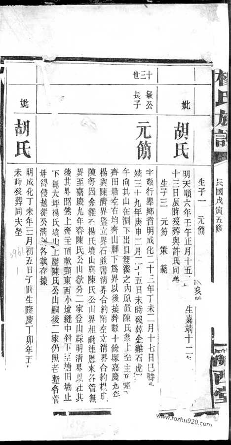 [下载][杨氏族谱]_.pdf