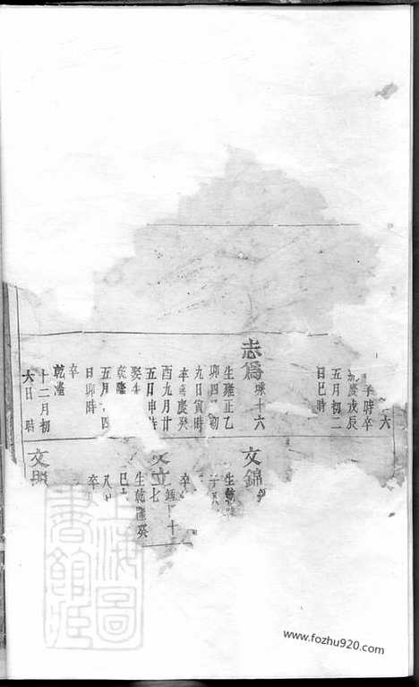 [下载][杨氏家乘]_.pdf