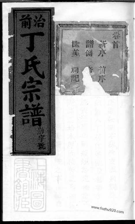 [下载][丁氏宗谱]缙云家谱_三十九卷_首一卷.pdf