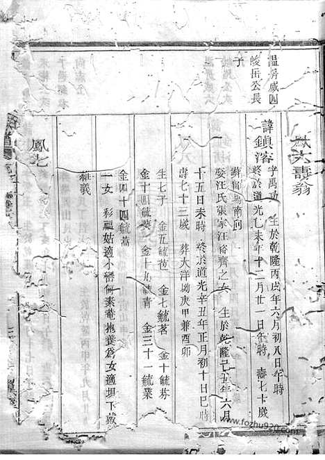 [下载][峿峰柴氏宗谱]江山家谱_.pdf