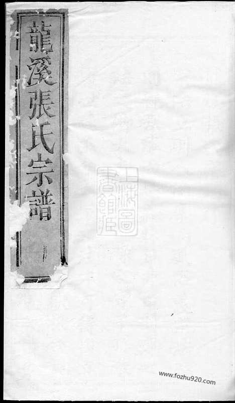 [下载][龙溪张氏八甲宗谱]浦江家谱_十九卷.pdf