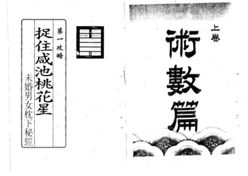 [下载][恋爱风水秘笈]桃花运与桃花劫_李居明.pdf