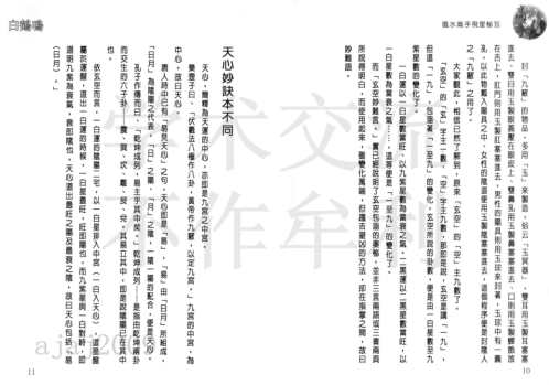 [下载][风水高手飞星秘笈]白鹤鸣.pdf