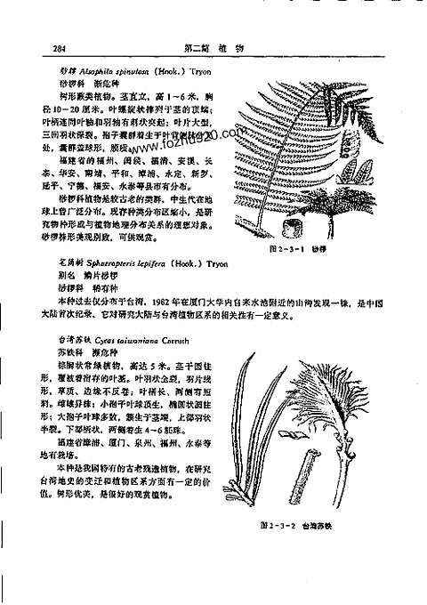 [下载](福建省志)生物志_二.pdf 