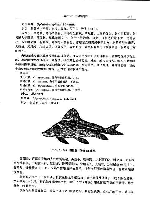 [下载](福建省志)生物志_三.pdf 