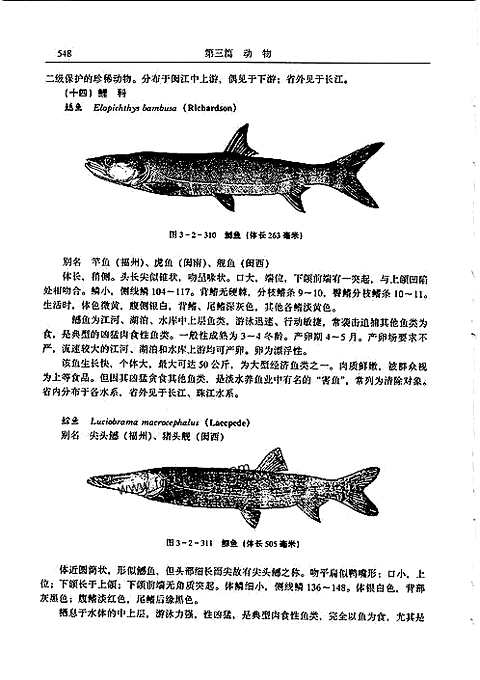 [下载](福建省志)生物志_三.pdf 