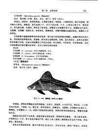 [下载](福建省志)生物志_三.pdf 