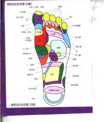 [下载][完全图解足部健康疗法].pdf